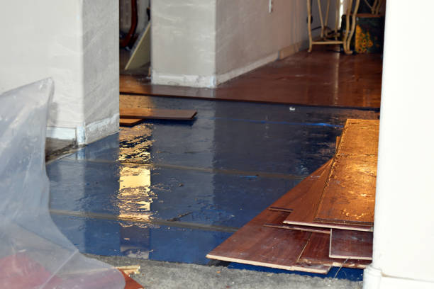 Professional Emergency Water Damage Restoration technician working in Montezuma, IA